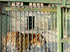 -合肥野生动物园