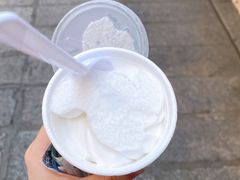 -洪馨椰子