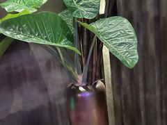 -观唐足道SPA养生会馆(南湖店)