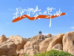 -天涯山