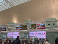 -巴塞罗那约瑟·塔拉德利亚斯-埃尔·普拉特机场