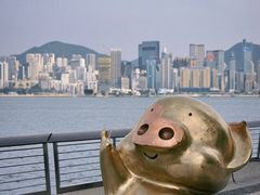 -星光大道