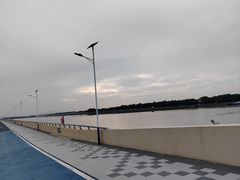 -大湾区中央湿地公园-十九涌