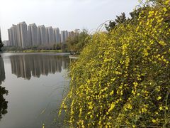 -成都南湖公园