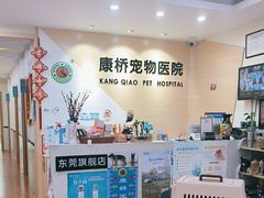 -千城康桥宠物医院·猫科·骨科·心脏