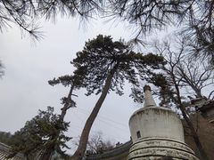 -潭柘寺景区