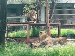 -昆明动物园