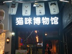 -猫咪博物馆(顶澳仔猫街店)