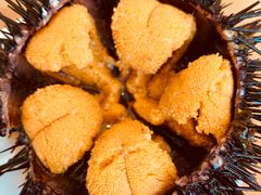 -海胆小馆(东北水饺·春柳店)