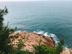 -广东惠东海龟国家级自然保护区