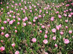 -长春公园(普阳街道)