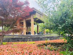-宁波九龙湖开元度假村