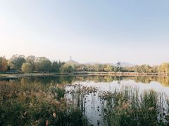 -北坞公园