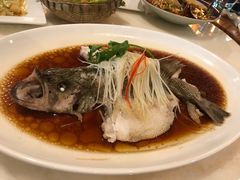 清蒸原汁海鲈鱼-青城山六善酒店·紫氣園中餐厅