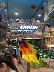 -卡通尼·Safari非洲探索乐园·生日会(金桥国际商业广场店)