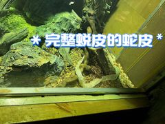 -杭州野生动物世界