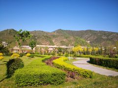 -芦芽山旅游度假区