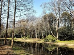 -上海滨江森林公园