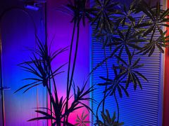 -JZ Club 爵士酒吧(上海店)