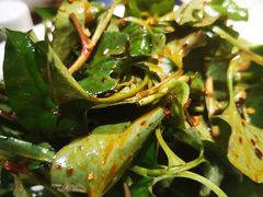 -卞氏菜根香·川菜(青羊万达店)