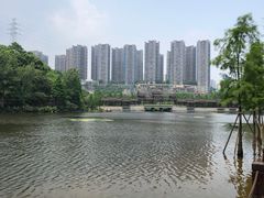 -重庆彩云湖湿地公园