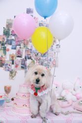 -WAVE SODA摄影工作室