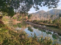 -黄陂区野村谷景区