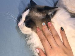 点击看大图 -M·X Nail日式美甲美睫