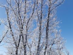 -中旅松花湖滑雪场