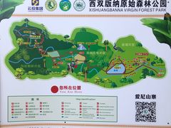 -西双版纳原始森林公园