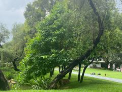 -人民公园(罗湖区)