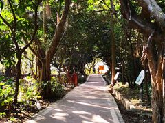 -东莞市大岭山森林公园