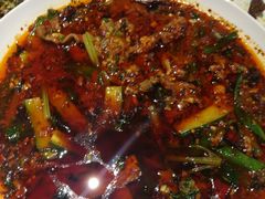-眉州东坡(团结湖店)