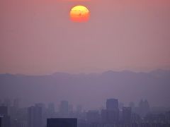 -大金鹰园