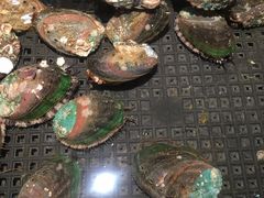 鲜活鲍鱼-南景饭店(万家丽路店)