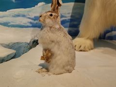 -陕西自然博物馆