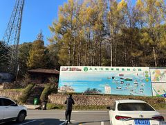 -五女峰国家森林公园