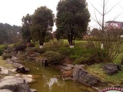 -铁山坪森林公园