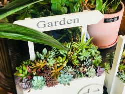 -花落谁家婚礼策划(永安街店)