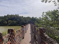 -广州白江湖森林公园