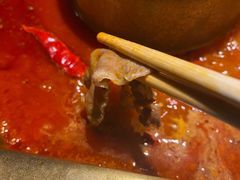 -蜀九香火锅(李家沱店)