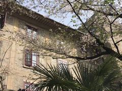 -武汉大学-樱园