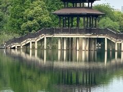 -洋湖国家湿地公园