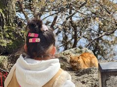 -终南山南五台景区