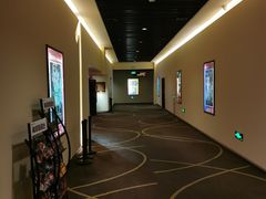 -嘉华国际影城(学清路店)