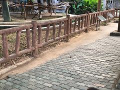 -清迈夜间动物园