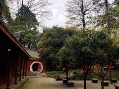 -凤栖山