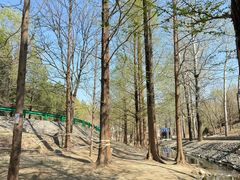 -白水寺森林公园