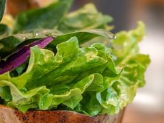 -东椰·海南椰子鸡火锅(朝阳门店)