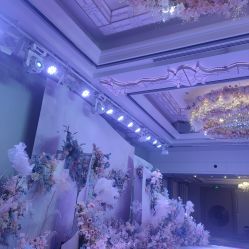 -曼格纳婚礼艺术中心(张江店)